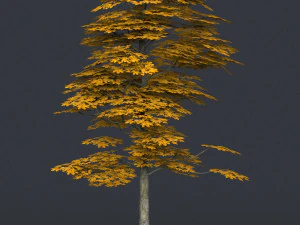 low poly 10 tree collection 02 3D Model