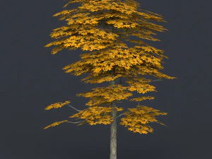 low poly 10 tree collection 02 3D Model