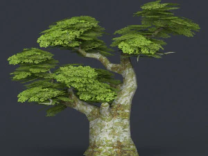 low poly 10 tree collection 02 3D Model