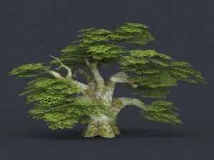 low poly 10 tree collection 02 3D Model
