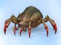 Fantasy Spider 3D Model