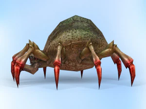 ragno di fantasia Modello 3D