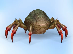 ragno di fantasia Modello 3D