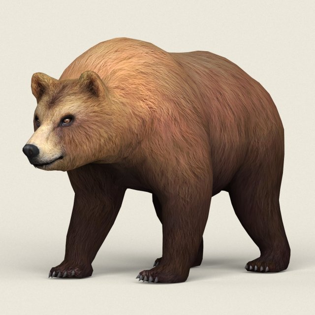 realistic low poly bear Modèle 3D .c4d .max .obj .3ds .fbx .stl .blend 