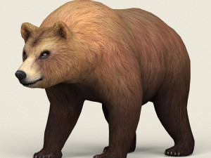 realistic low poly bear 3D Model