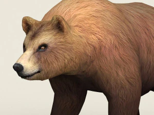 现实的低聚熊 3D 模型