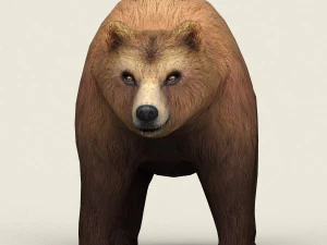 现实的低聚熊 3D 模型