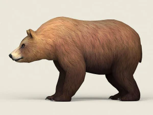 现实的低聚熊 3D 模型
