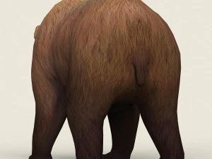 现实的低聚熊 3D 模型