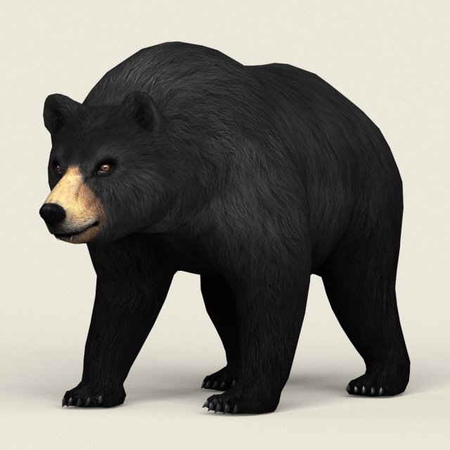 realistic low poly black bear Modelo 3D .c4d .max .obj .3ds .fbx .stl .blend 