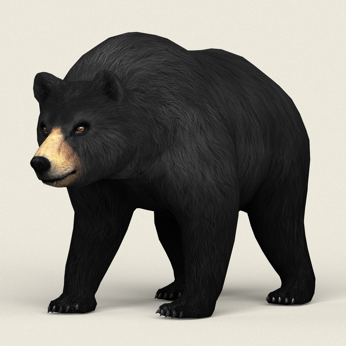 Realistic Low Poly Black Bear 3d Model In Bear 3dexport