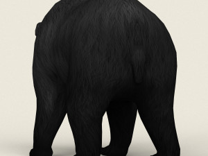 realistic low poly black bear Modelo 3D