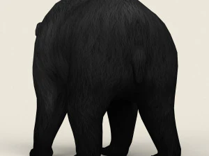 realistic low poly black bear 3D Model