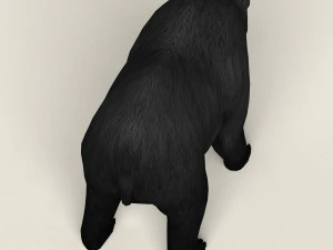 realistic low poly black bear 3D Model
