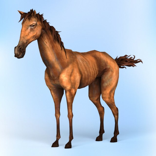 fantasy horse 3D Модель .c4d .max .obj .3ds .fbx .stl .blend 
