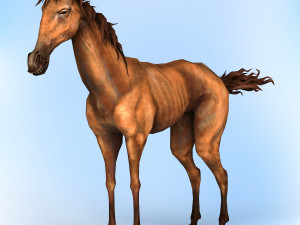 fantasy horse 3D Model