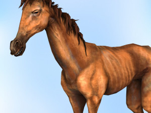 fantasy horse 3D Модель