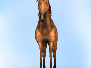 fantasy horse 3D Модель