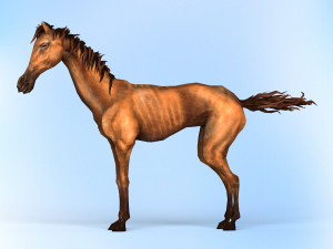 fantasy horse 3D Модель