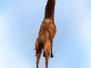 fantasy horse 3D Модель
