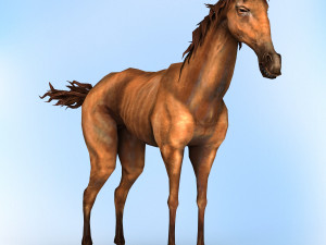fantasy horse 3D Модель
