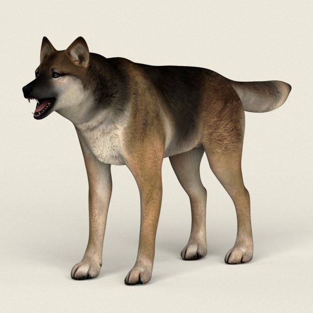 low poly realistic wolf 3D Model .c4d .max .obj .3ds .fbx .stl .blend 