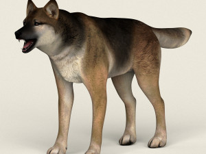 low poly realistic wolf Modelo 3D