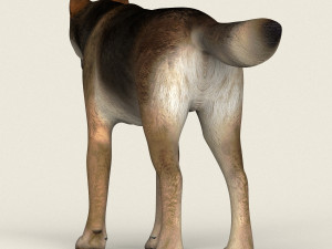 low poly realistic wolf 3D Model