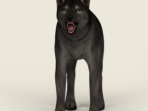 low poly realistic black wolf 3D Model