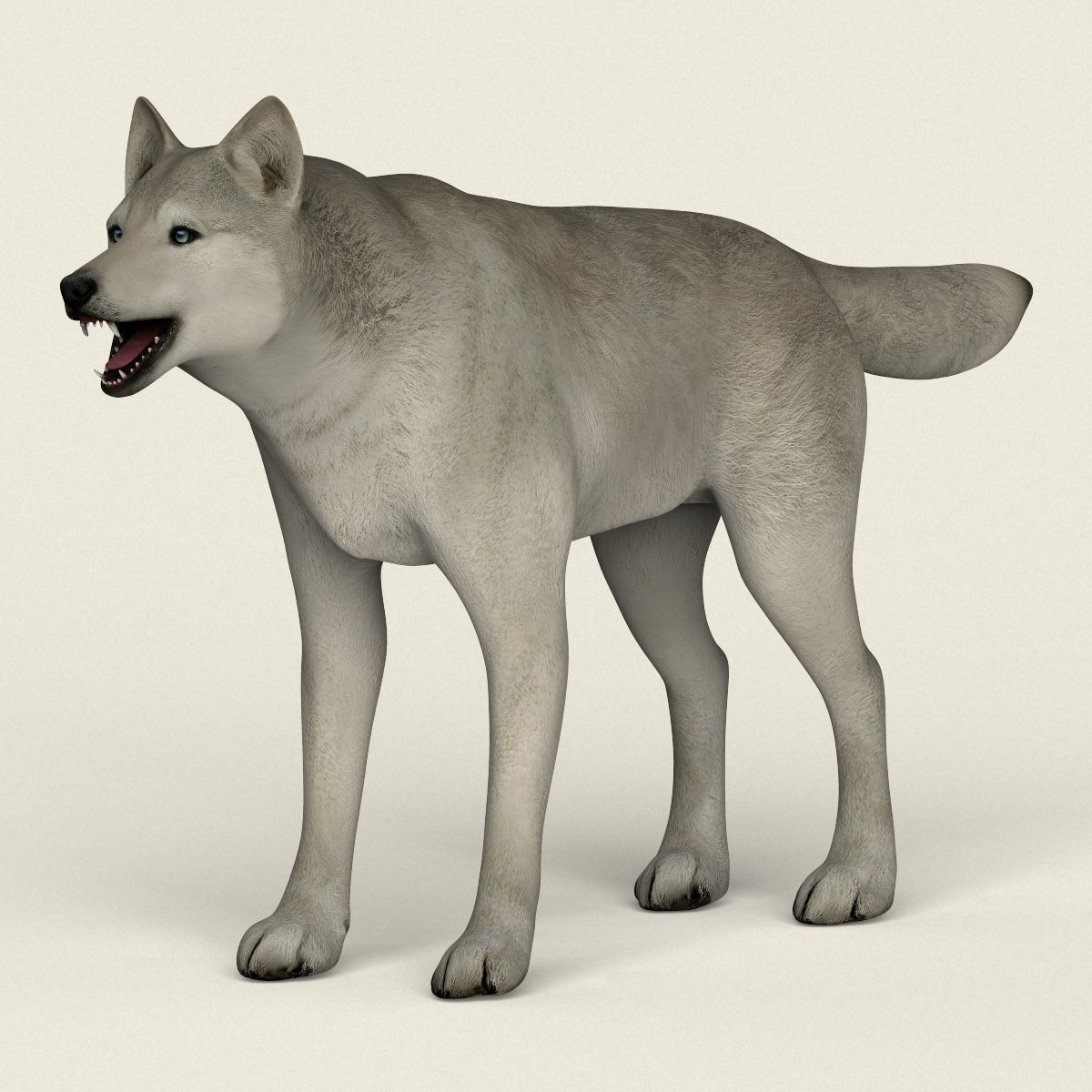Low Poly Realistic White Wolf 3d Model In Wildlife 3dexport