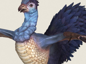 game ready fantasy hen 3D Model