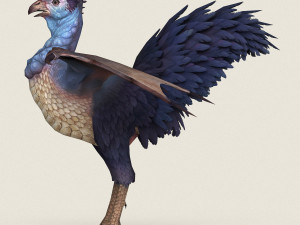 game ready fantasy hen 3D Model