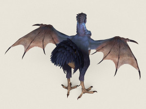 game ready fantasy hen 3D Model