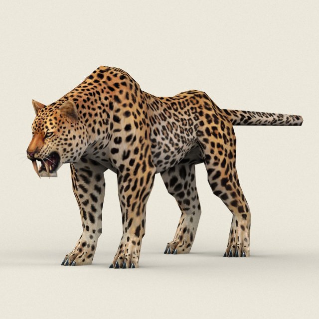low poly leopard Model 3D .c4d .max .obj .3ds .fbx .stl .blend 