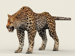 low poly leopard 3D मॉडल