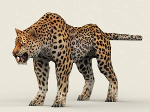 leopardo de baja poli Modelo 3D