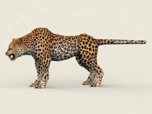 low poly leopard 3D Model