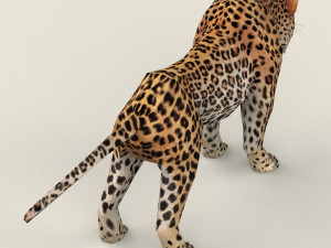 low poly leopard Model 3D