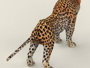 low poly leopard 3D Model