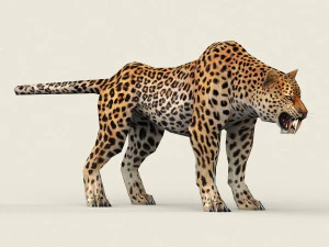 low poly leopard 3D Model