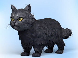 low poly black cat 3D Model