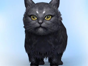 낮은 폴리 검은 고양이 3D 모델