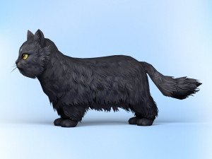 low poly black cat Modello 3D