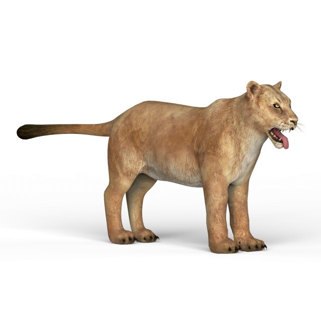 lioness Modelo 3D .c4d .max .obj .3ds .fbx .stl .blend 