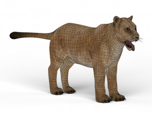 lioness Modelo 3D