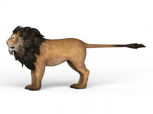 Lion 3D Model