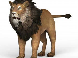 Lion 3D Model