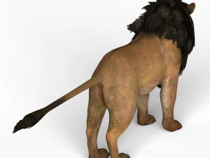 Lion 3D Model
