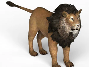 Lion 3D Model