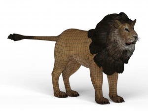 Lion 3D Model